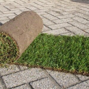 Rollrasen-Premium-Supra-Rasen